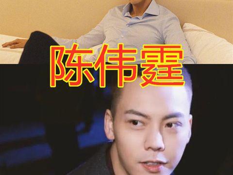 陈飞爆料视频最新消息新闻,揭秘事件背后惊人真相